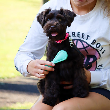 Li'l Pals Dog Bristle Brush