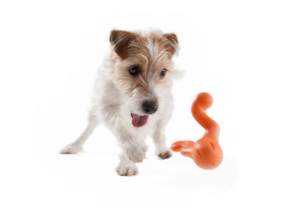 Tizzi Dog Toy