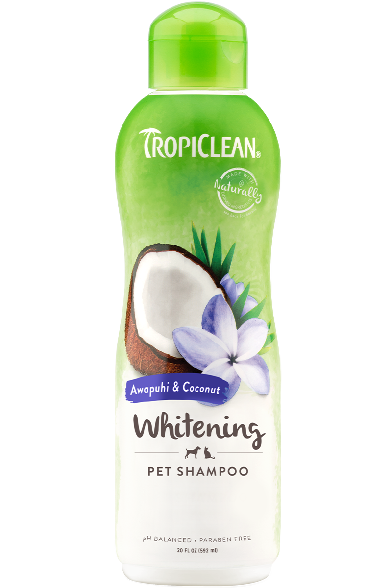 TropiClean Awapuhi & Coconut Pet Shampoo (Whitening)