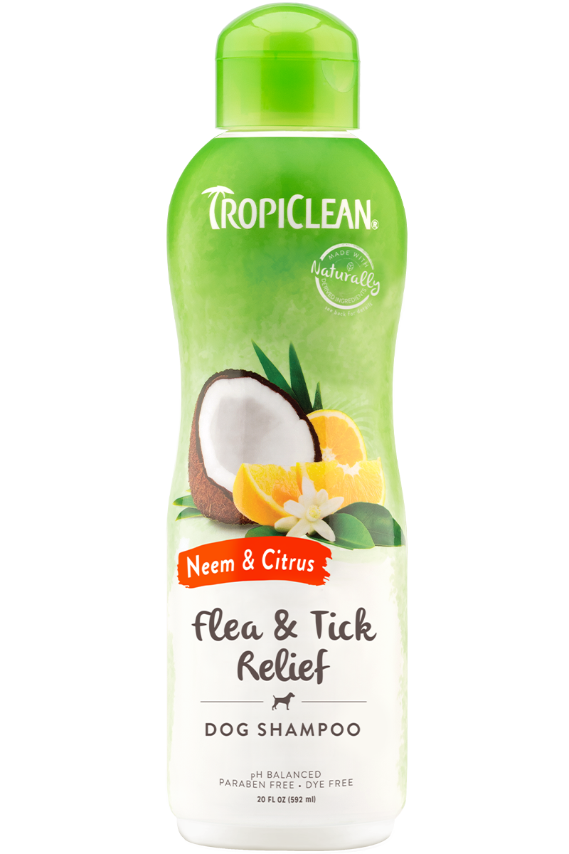 TropiClean Neem & Citrus Flea & Tick Relief Shampoo for Dogs