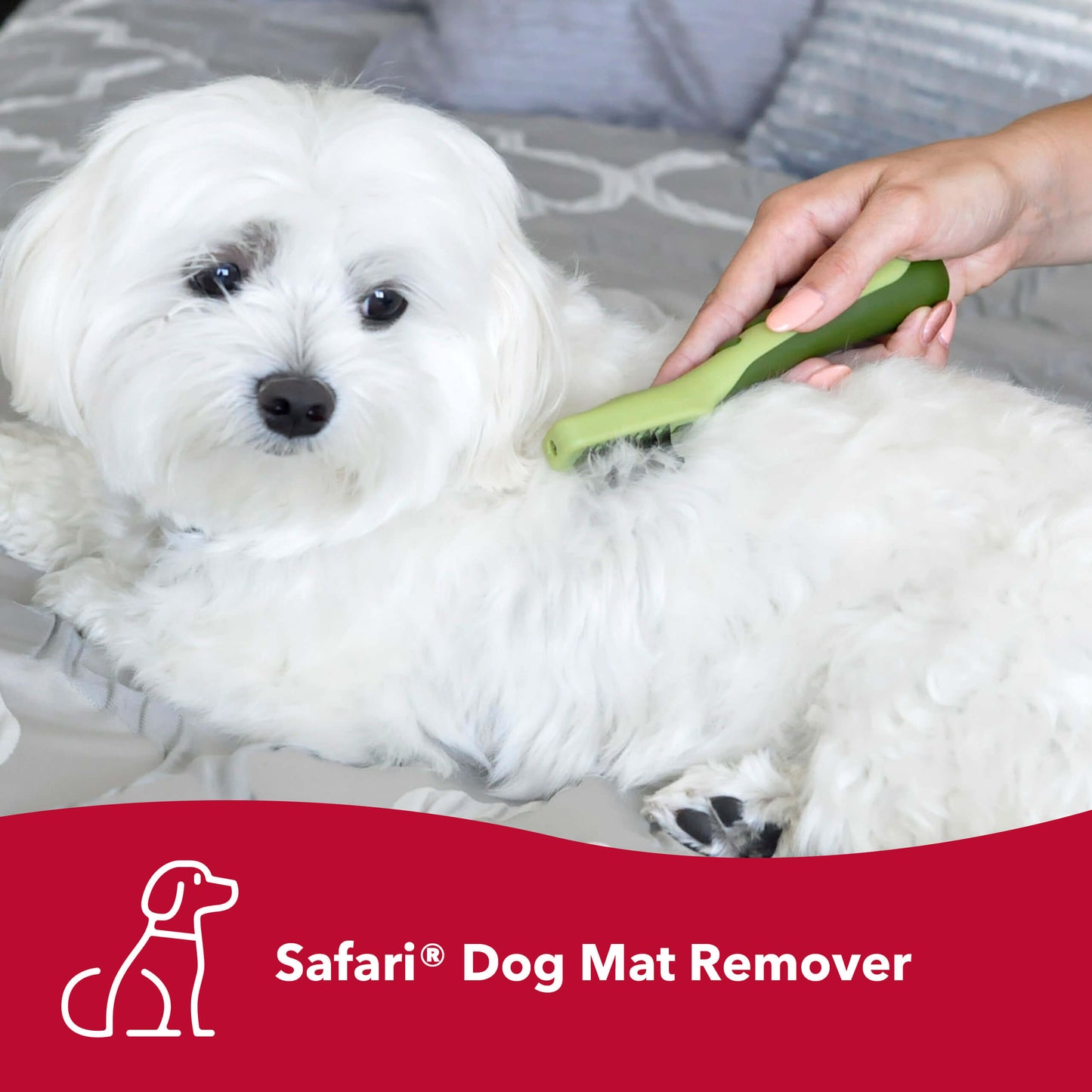Safari Dog Mat Remover