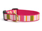 Donna Stripe Dog Collar