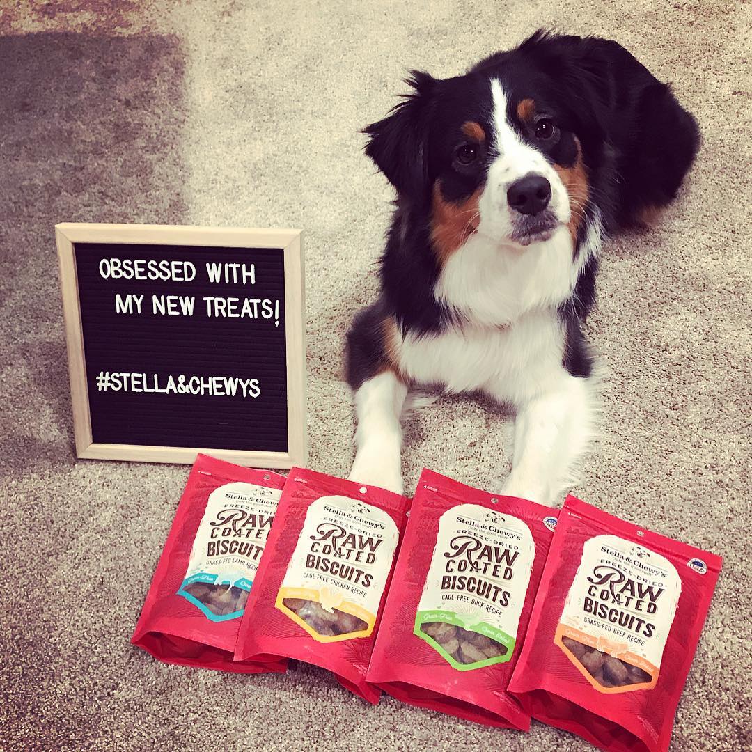 Stella&Chewy's Cage-Free Chicken Raw Coated Biscuits