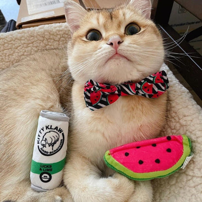 Watermelon Cat Toy