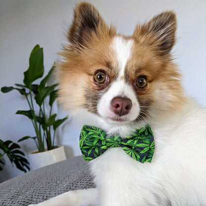 Weed Bow Tie