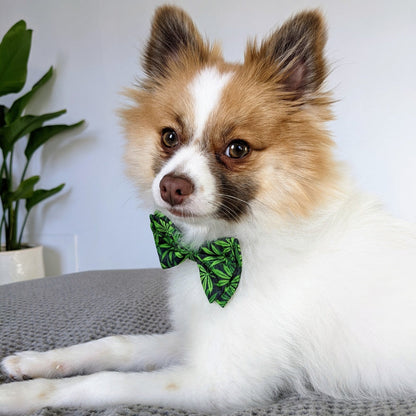 Weed Bow Tie