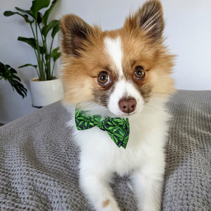 Weed Bow Tie