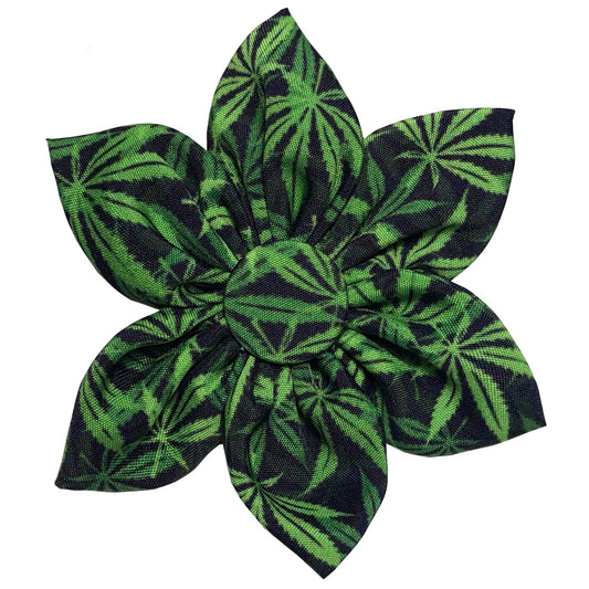 Weed Pinwheel