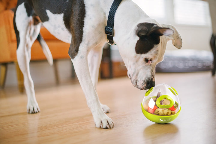 Wobble Ball Dog Toy