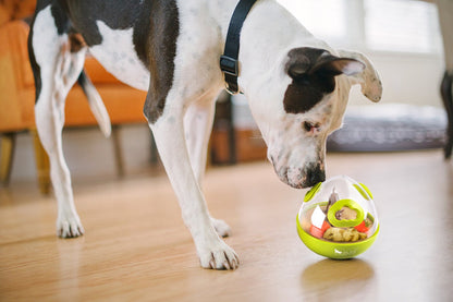 Wobble Ball Dog Toy