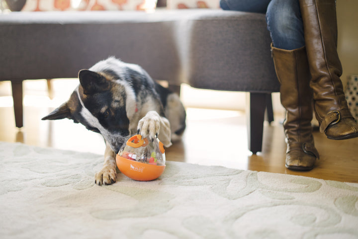 Wobble Ball Dog Toy