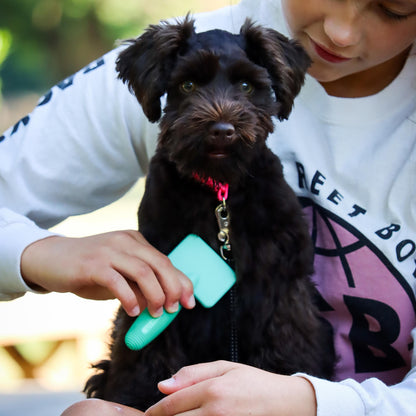 Li'l Pals Dog Slicker Brush with Coated Tips