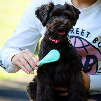 Li'l Pals Dog Bristle Brush