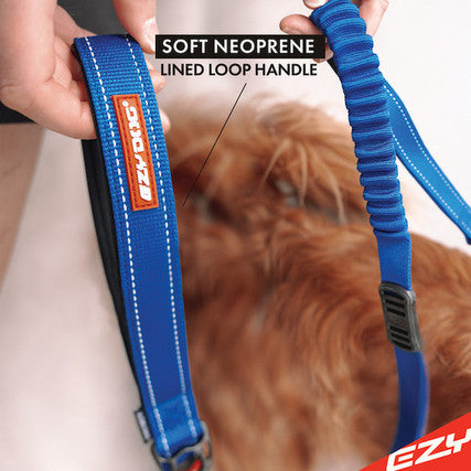 Zero Shock Leash 25in