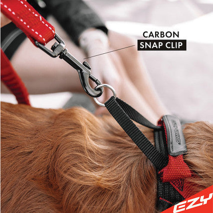 Zero Shock Leash 25in