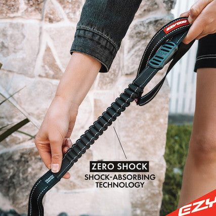 Zero Shock Leash 25in