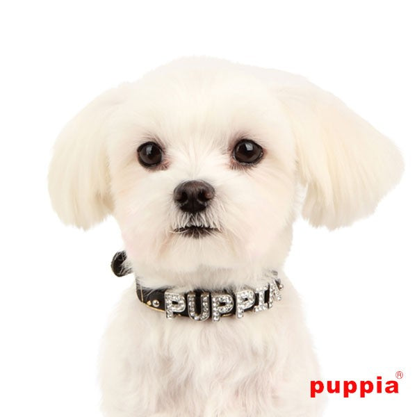 Puppia Zoey Collar